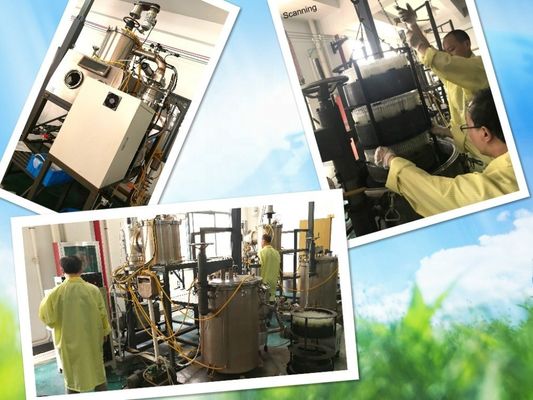 Temómetro de vidrio de aleación de galio sin mercurio para uso médico